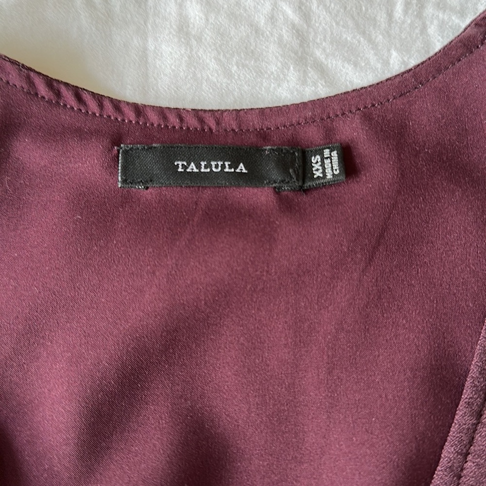 Burgundy Aritzia Balletcore Mini-dress, XXS - Picture 4 of 5
